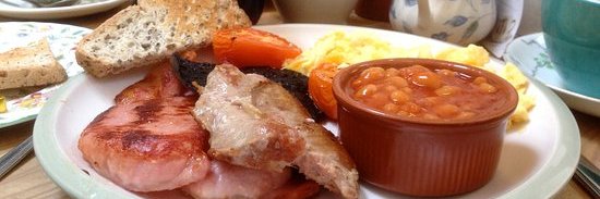 breakfasts86691's profile banner image
