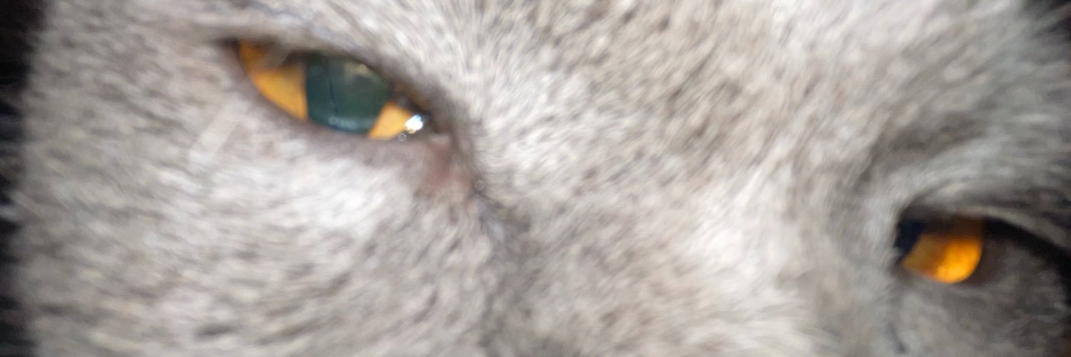 ttdensss's profile banner image