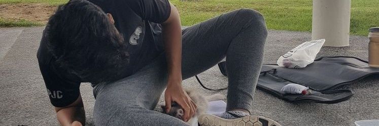 IsaTheReal's profile banner image