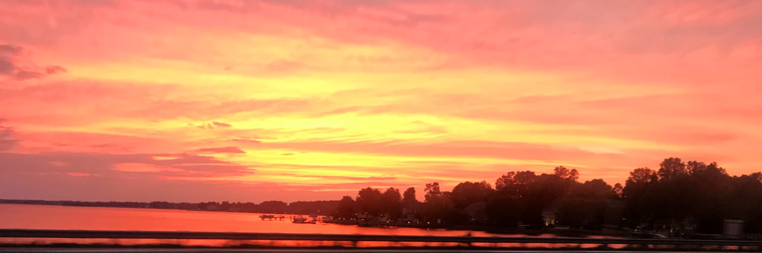 danielleredder's profile banner image