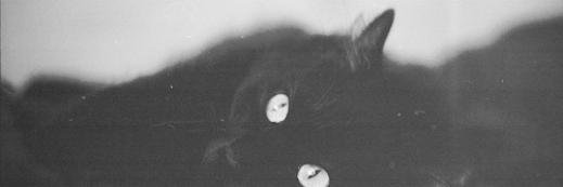 BrittanySackschewsky banner