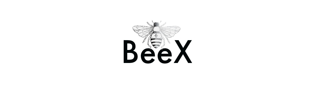 BeeX banner