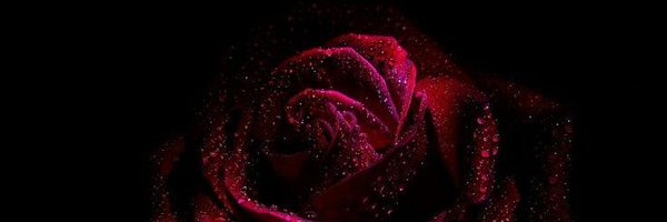 MissCherryLipz2 Profile Banner