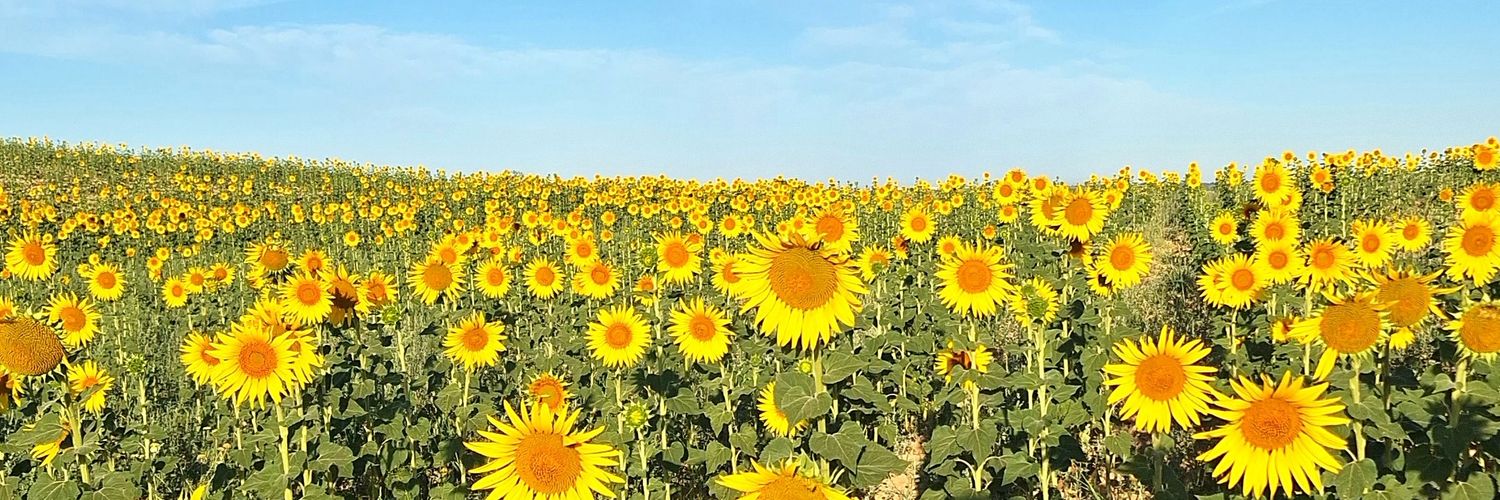 charitochp_'s profile banner image