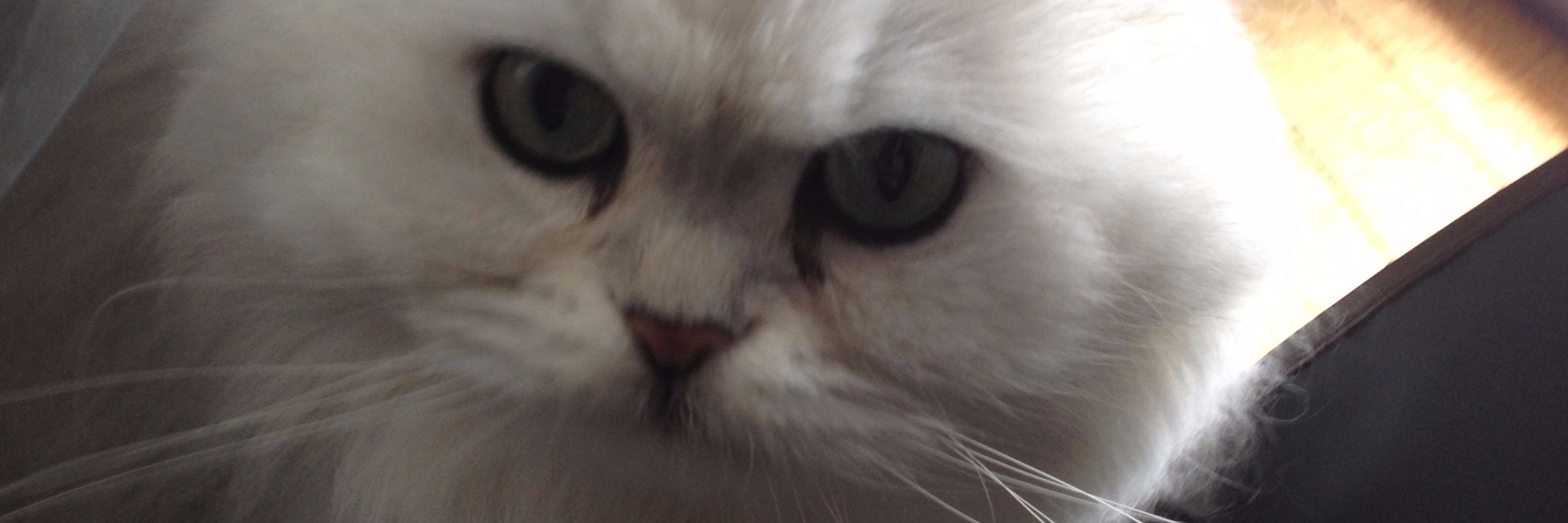 AWPsan2's profile banner image