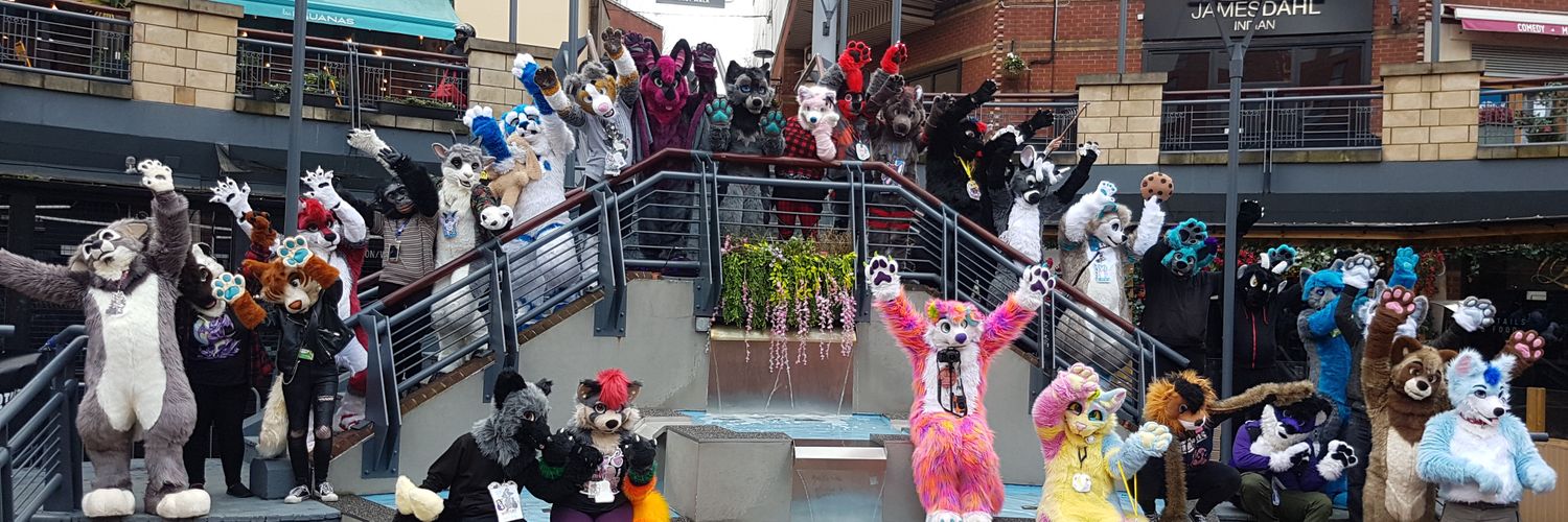 BrumFurs's profile banner image