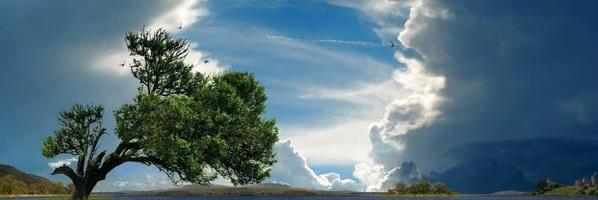 jeterfan_02's profile banner image