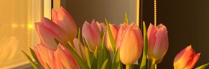 🌷 ลินินมาแล้วค่ะ 🌷🍯 banner