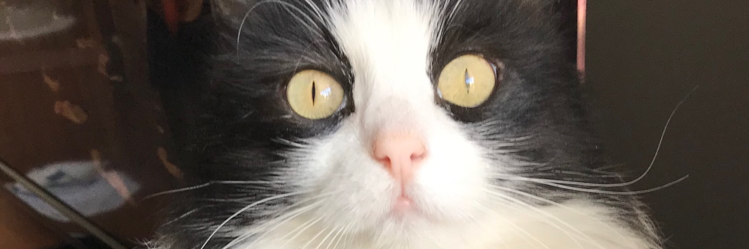 ASOFGU's profile banner image