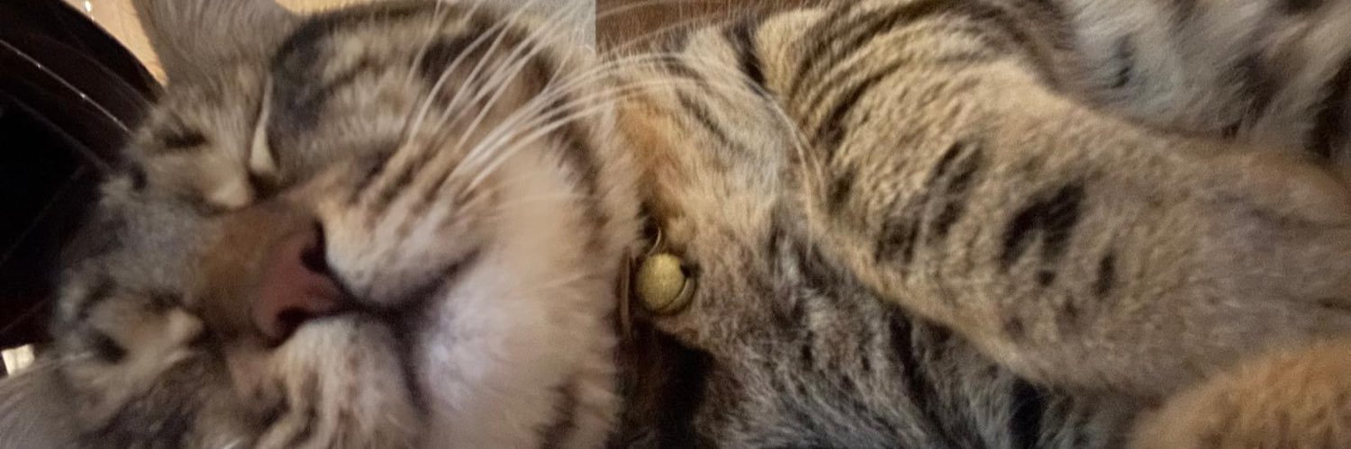 michelle 🇹🇷 banner