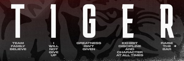 ConsolStrength Profile Banner