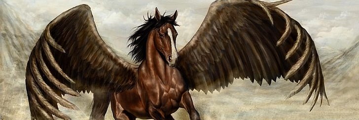 Divvy-Up Stocks banner