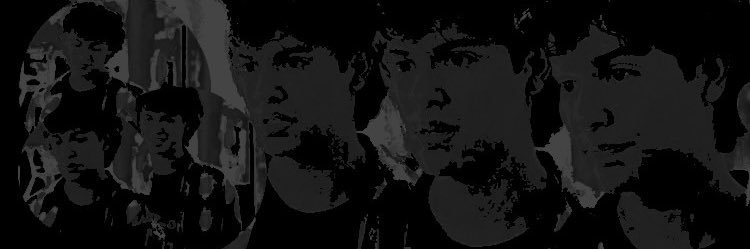 ᅠ ᅠ ᅠ ᅠ ᅠ ᅠ ᅠ ‍ ‍ * RO .ᐟ ( parody ) banner