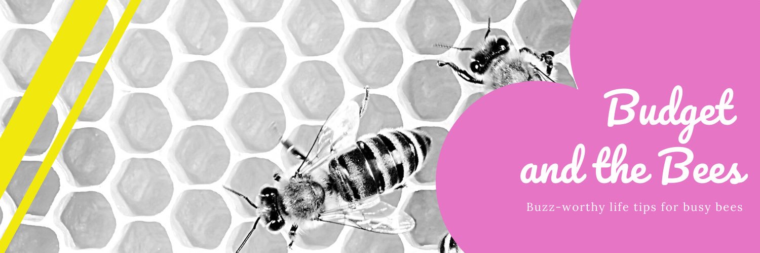 Budget and the Bees - Personal Finance (@BudgetandBees) / Posts / X