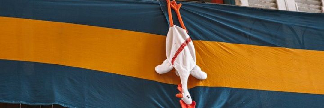 AzulMezzenasco's profile banner image