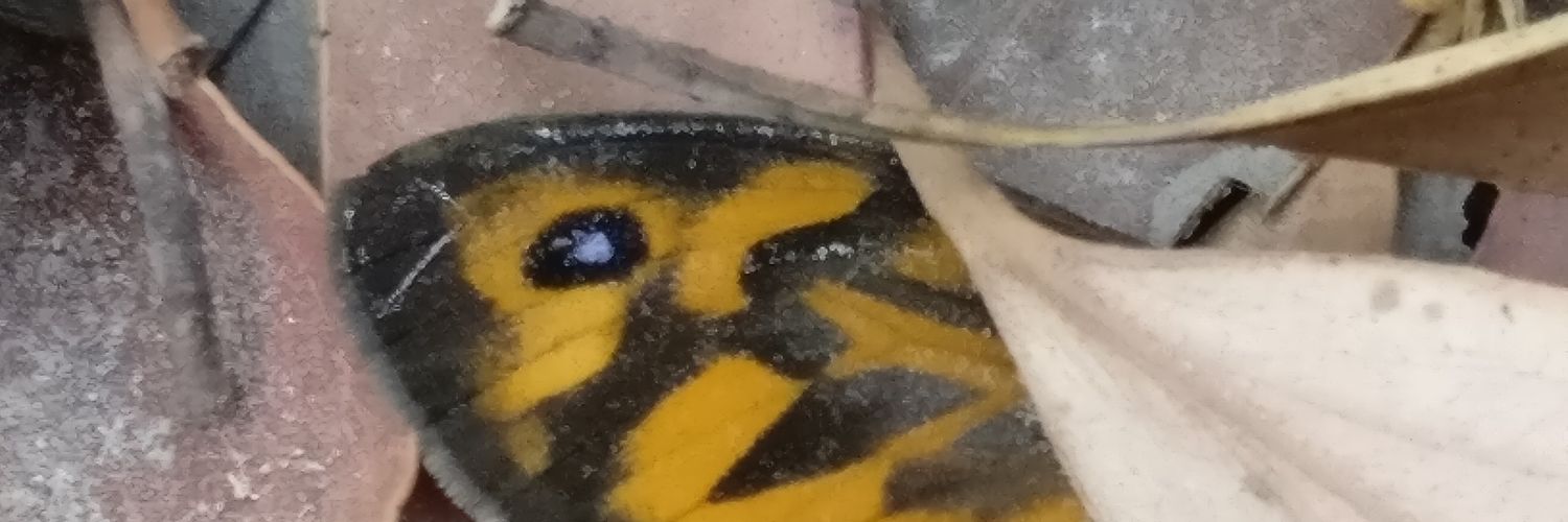 Eptima's profile banner image