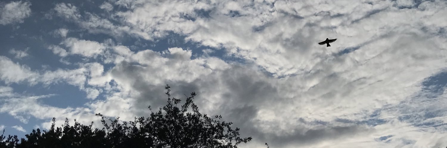 AleGBri's profile banner image