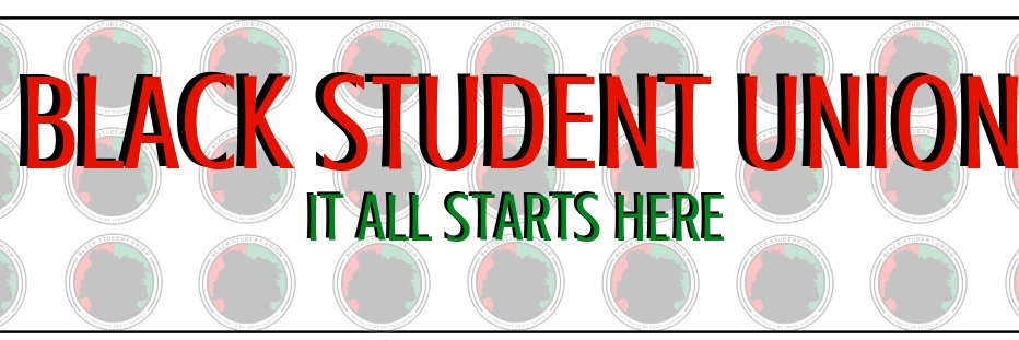 USA_BSU's profile banner image