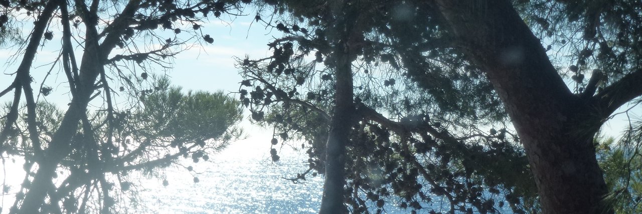 Georgeslepoet banner