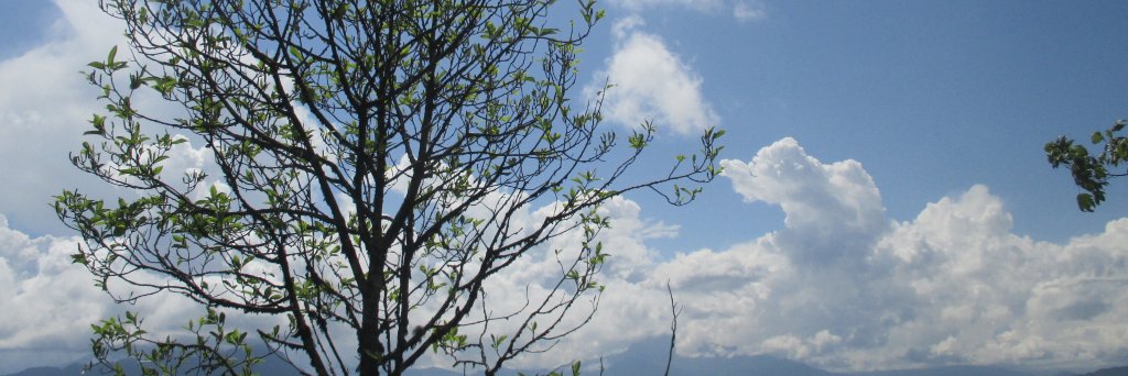 saikatm87's profile banner image