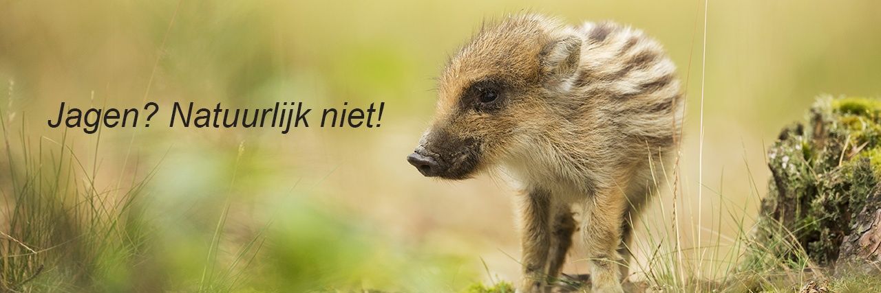 De Faunabescherming's banner