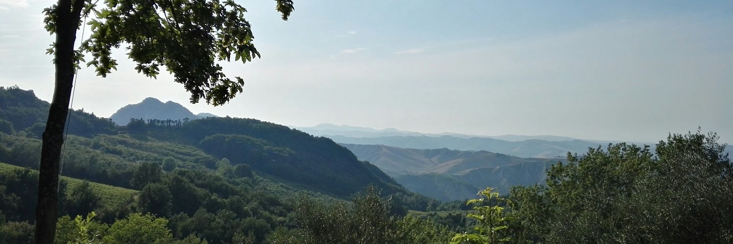 luca_ldf's profile banner image