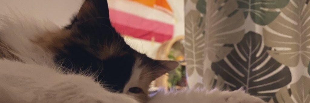 Elle. banner