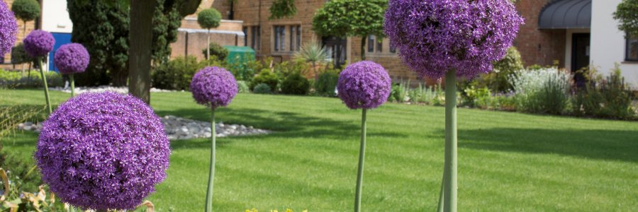 UppinghamTownCouncil banner