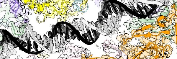 TCR_Miller Profile Banner