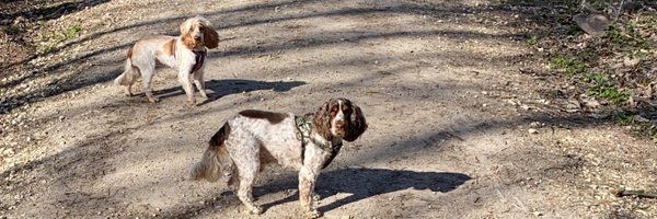 stevenmuzzy1975 Profile Banner