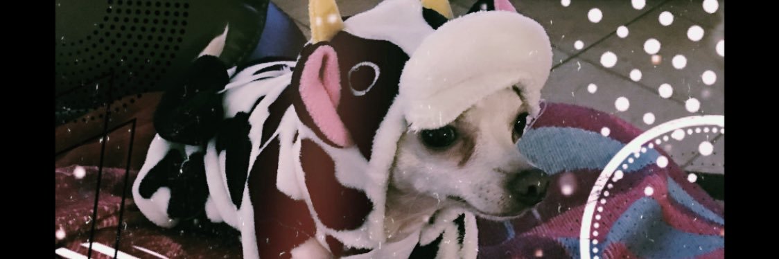 celina_betch's profile banner image
