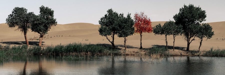 luyi_b's profile banner image