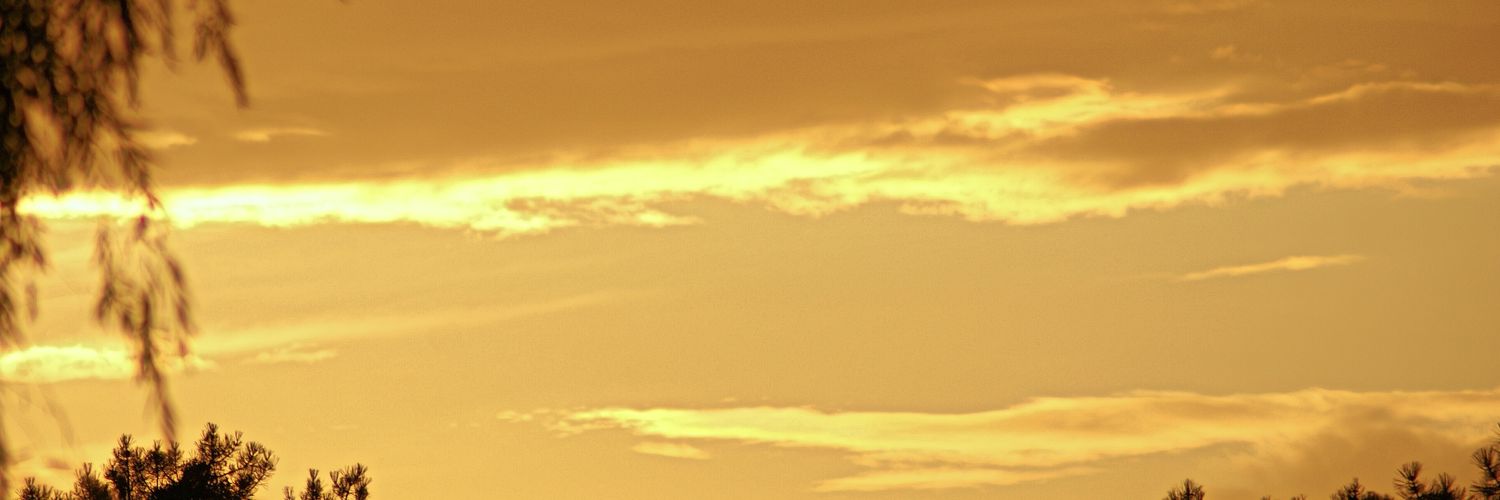 Manu Abad banner