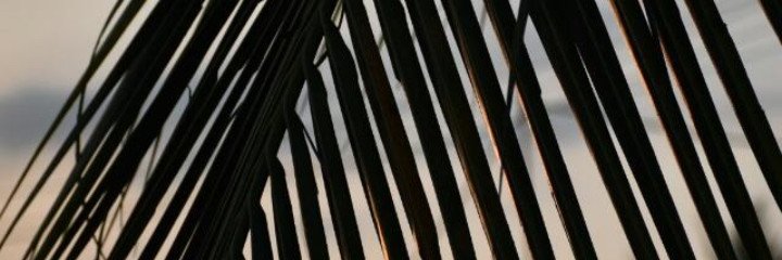 gbolzz's profile banner image