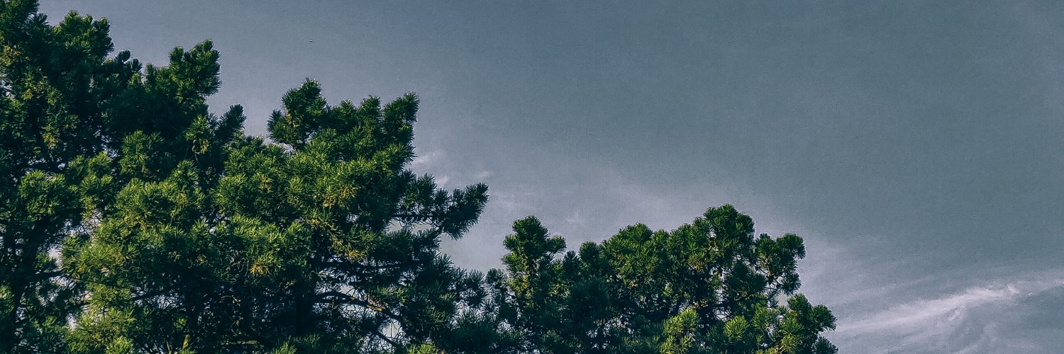 aaoquadrado's profile banner image