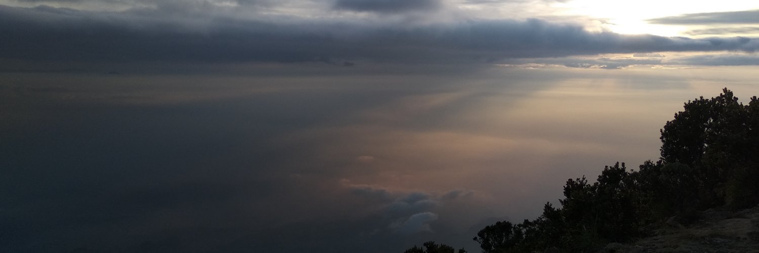 LNdendii17's profile banner image