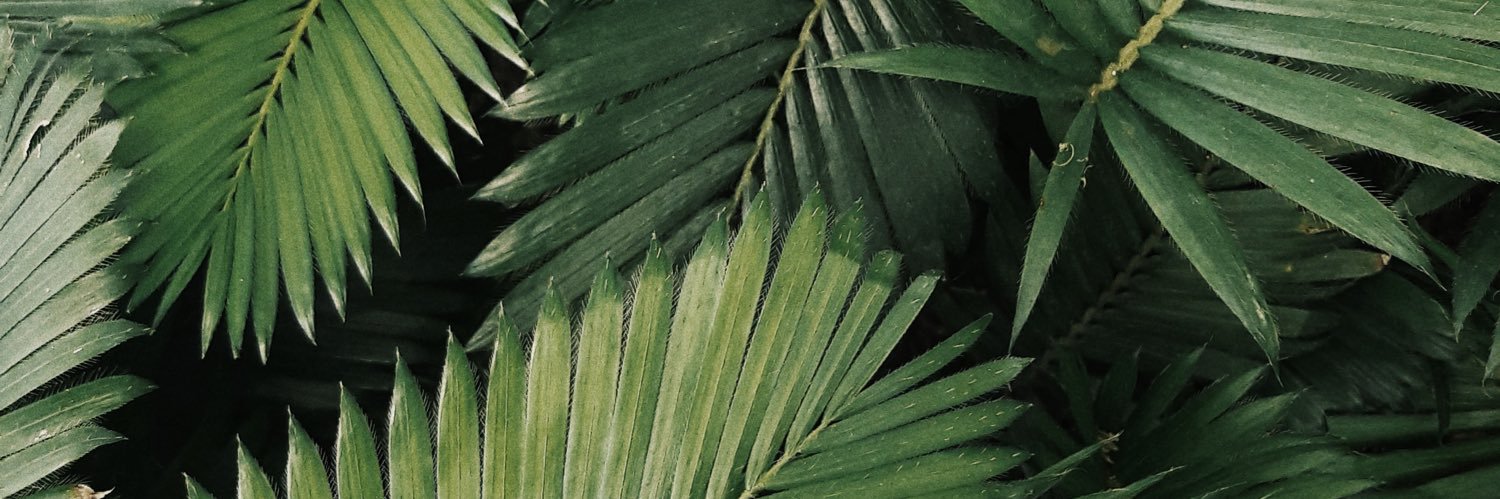 MikhaylovS's profile banner image