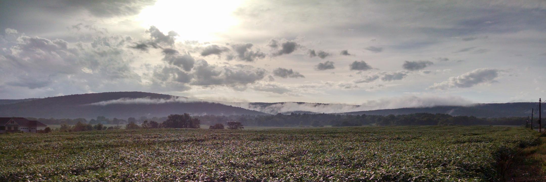 MatthewRodatus's profile banner image