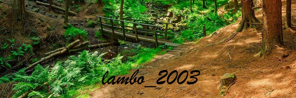 lambo_2003 banner