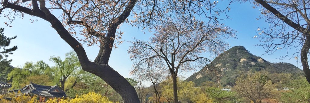 🐻 banner