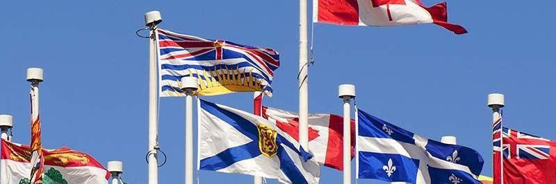 Brian 😎 Tell your dog I said hi banner