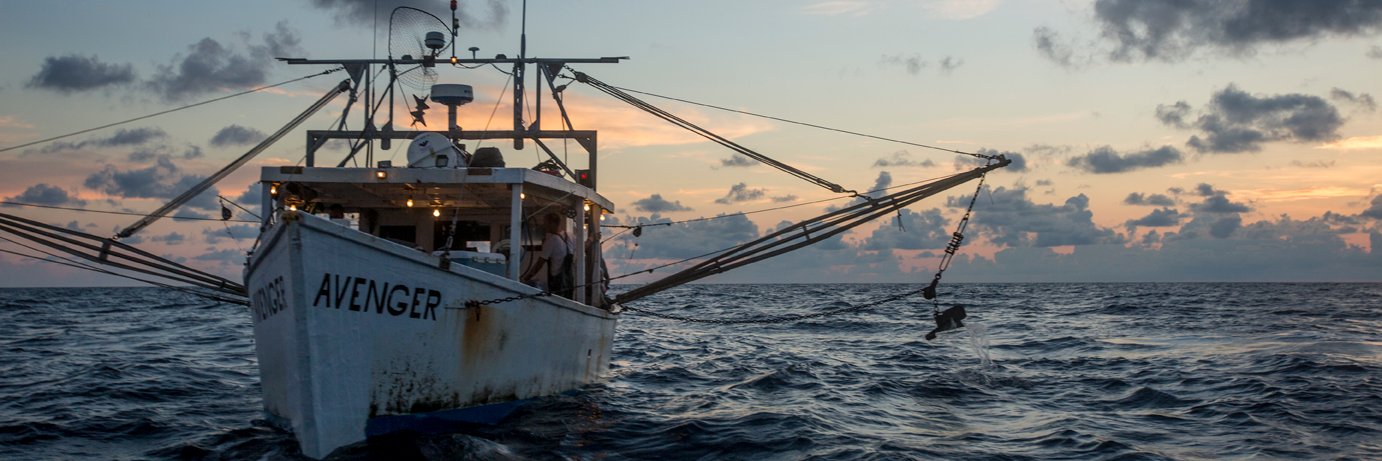 ShareTheGulf's profile banner image
