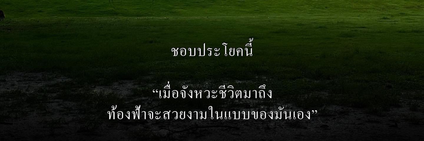 blossoms💐 banner