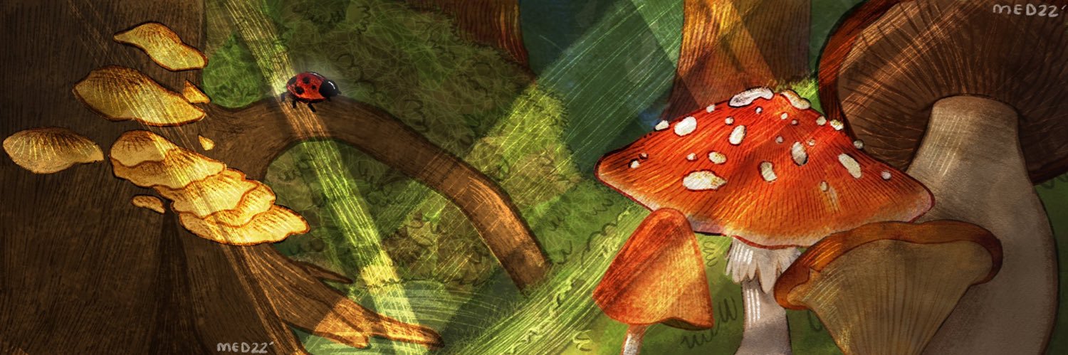 kodacals's profile banner image