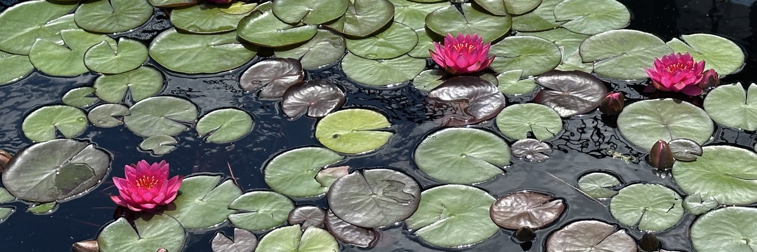 Olga Jarrín Montaner, PhD, RN, FAAN banner