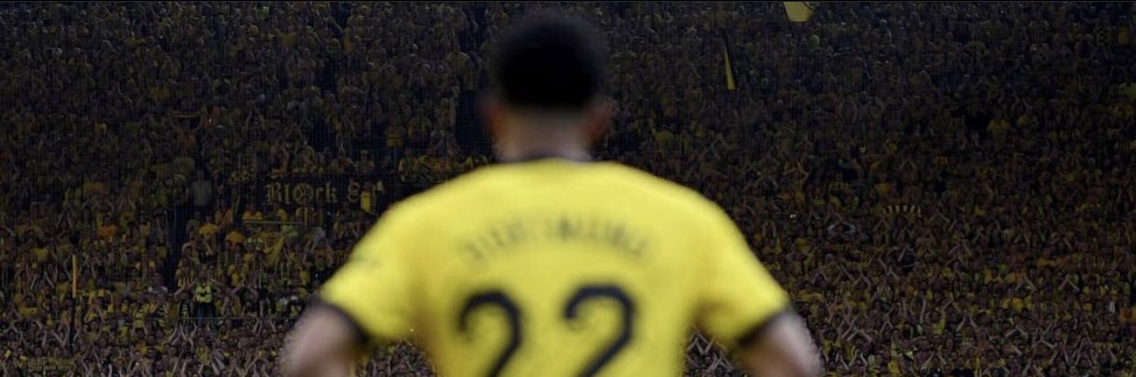 EL GUAYAKILAZO banner