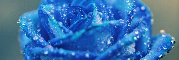 Genesis_Mariely's profile banner image
