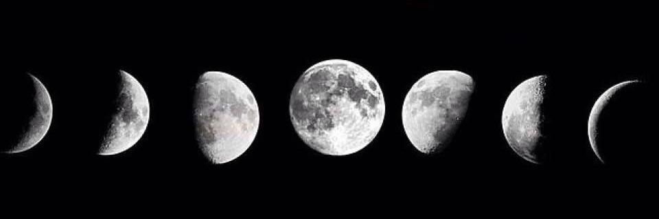 careUself's profile banner image