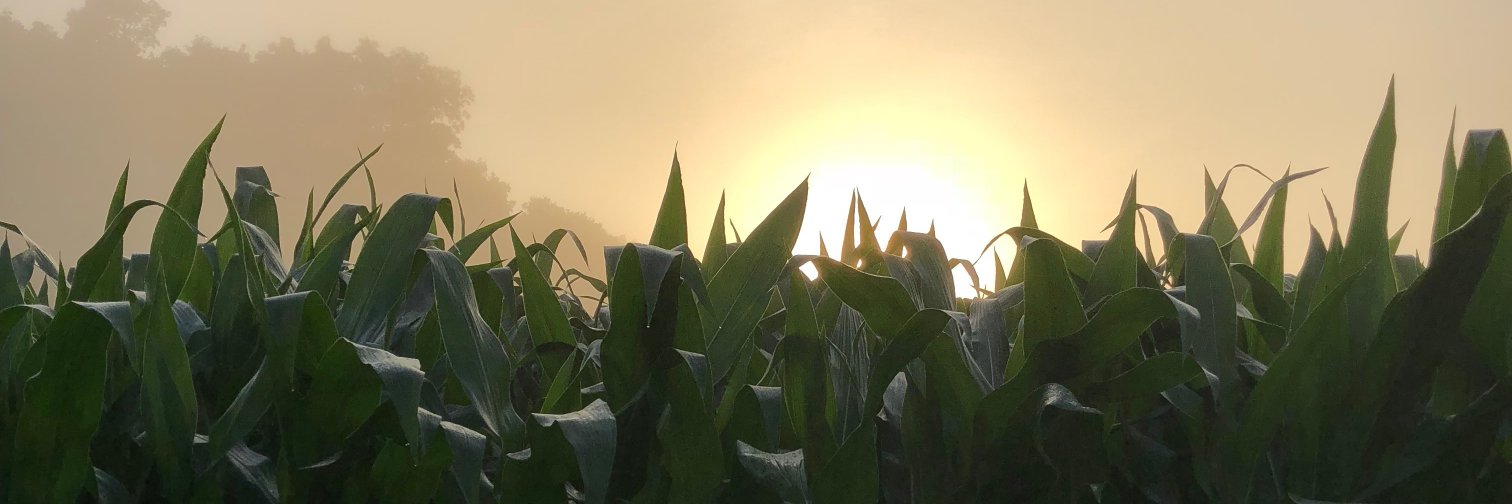 Wayne County EMA banner