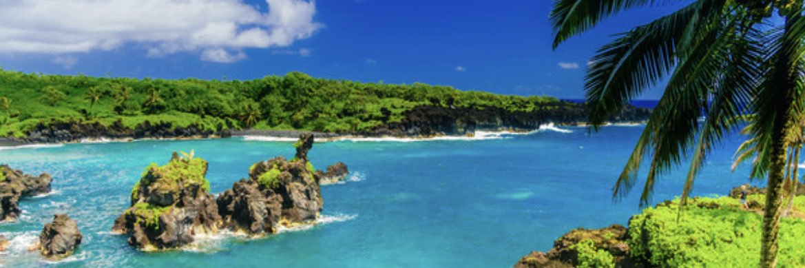 楊欣怡 banner